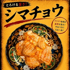 シマチョウ