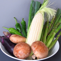 北海道産の旬な季節野菜たち