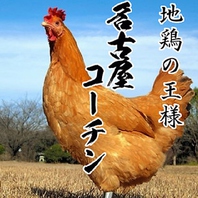 日本三大地鶏【名古屋コーチン】