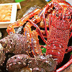 上野イカセンターのコース写真