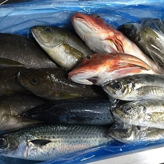 旬の鮮魚と四季の地酒 すしの磯一 南柏の特集写真