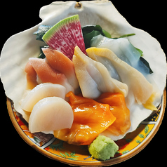 貝好きにはたまらない！貝ざんまい