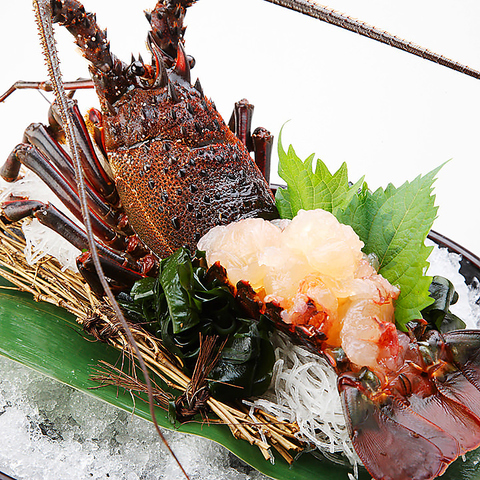 �k�̍K ���{�X