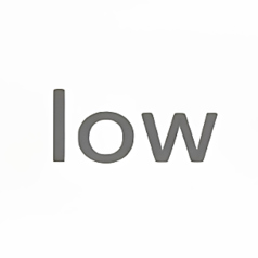 lowの写真