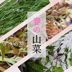 春の山菜料理