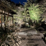 昼と夜で庭園は別の表情に。ライトアップも実施しております