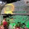 party space Next パーティースペース ネクスト 沖縄市店の画像