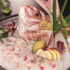 釣船茶屋 ざうお 難波本店のおすすめ料理1