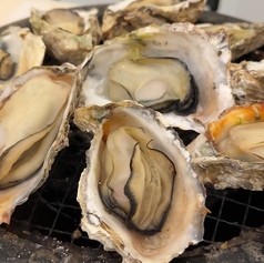 牡蠣小屋 かき太鼓 イオン高槻店のコース写真