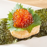 朝どれ鮮魚 魚の屋