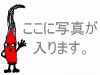季節田舎料理 宝のURL1