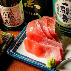 鮪中トロの刺身
