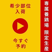 宮崎地鶏炭火焼 車 心斎橋店のおすすめ料理2