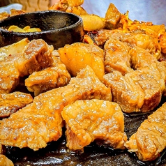 豚焼肉《テージカルビ》 追加肉