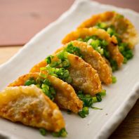 【旨味成分】沖縄固有の希少種キビまる豚の揚げ餃子