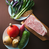 季節と素材を味わう多彩なコース