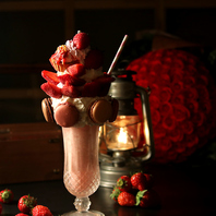 SEASON　IN THE　BARK