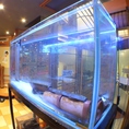 お店オススメの魚介が店内入ってすぐの水槽に！気になるお魚がいるときはスタッフまで！