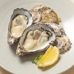 夜韻 yoin特集写真1