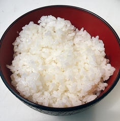 白ごはん(並)