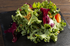 カーリーケールサラダ