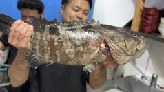 志まづ 博多口店のコース写真