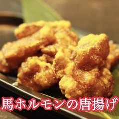 馬ホルモンの唐揚げ
