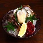 【夏季限定】夏の人気メニュー！！岩牡蠣