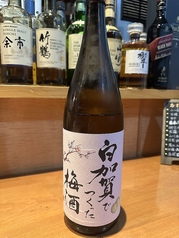 白加賀でつくった梅酒サワー