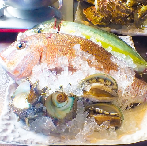 魚が旨い かんころ亭ぷらす 海老名店 海老名 居酒屋 ネット予約可 ホットペッパーグルメ