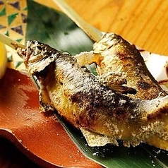 銀座方舟 桜木町クロスゲート店のコース写真