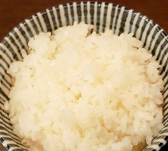 白飯(並、大盛、少な目)