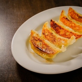 【手包み餃子の専門仕込み】看板メニューの餃子は、毎朝店内で一つ一つ丁寧に手包み。もちもちの皮と肉汁たっぷりの餡が自慢です。化学調味料を控え、女性にも食べやすい優しい味わい。香ばしく焼き上げた瞬間の香りが食欲をそそります。＊横浜　居酒屋　飲み放題＊