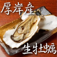 仙鳳趾産！特大生牡蠣