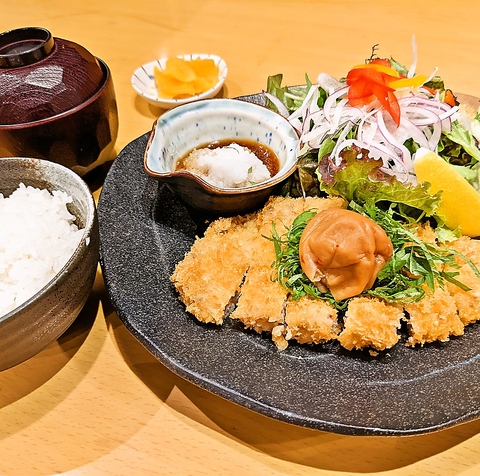 とんかつ処 座 かつ 南草津店 和食 のランチ ホットペッパーグルメ