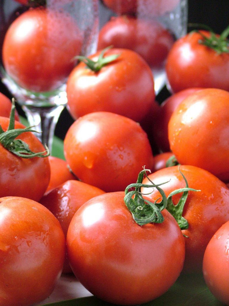 高知といえば、あま～いあま～いフルーツトマト♪土佐自在家ではどのコースでも味わって頂けます!!