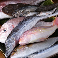 居酒屋 くにゅ君のおすすめポイント1