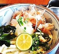 おろしぶっかけうどん