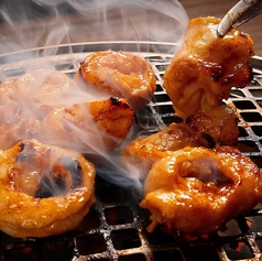 名物シロコロホルモン