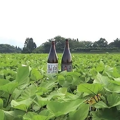 【宮崎のこだわりを凝縮】造り手の魂が宿る「厳選本格焼酎」