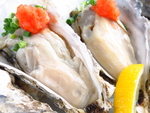 厚岸の漁師と直接提携して仕入れる生牡蠣は新鮮ぷりぷり♪生や白ワイン蒸しで召し上がれ！