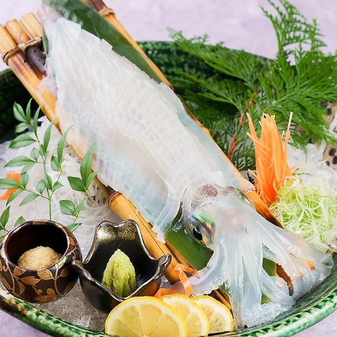 博多もつ鍋・水炊き×呼子直送イカを一度に味わう…贅沢なお時間を。