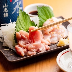 阿波尾鶏の炙りたたき