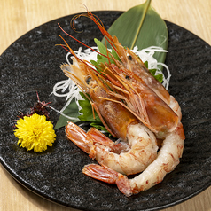 赤海老のお造り