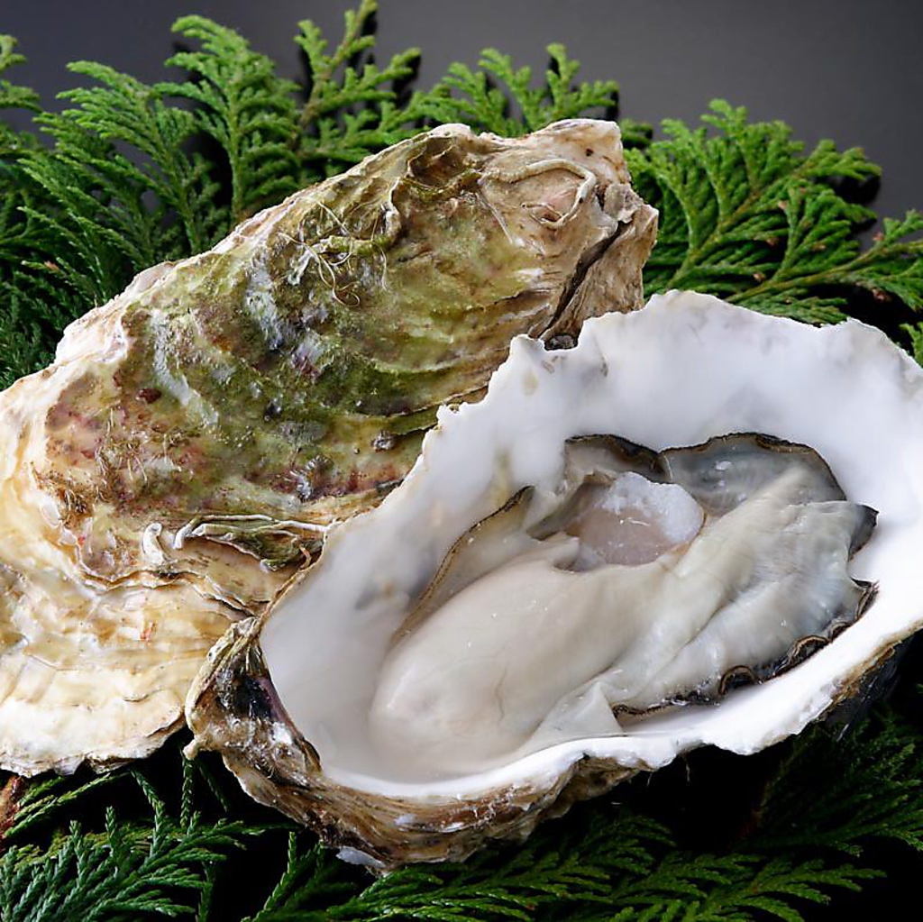 ついに水道橋に牡蠣小屋がNEWOPEN！！