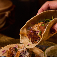 ストップザシーズンインザサンの写真2