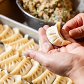 本格餃子居酒屋 RYUKA リュウカ 川崎駅前店の雰囲気2