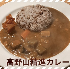 心の優しい高野山精進カレー