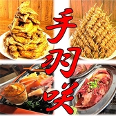 手羽咲 南郷7丁目店