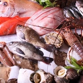 魚虎の雰囲気2